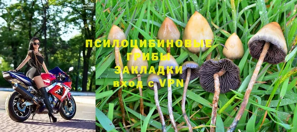 а пвп мука Няндома