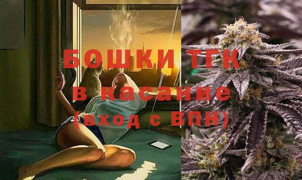 гашик Весьегонск