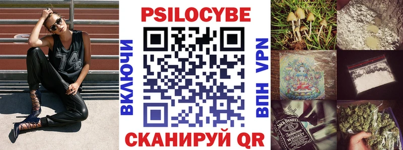 Псилоцибиновые грибы ЛСД  MEGA онион  Каменка 