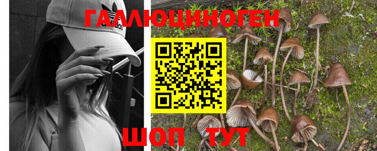 Галлюциногенные грибы мухоморы  Вход с VPN  Каменка 