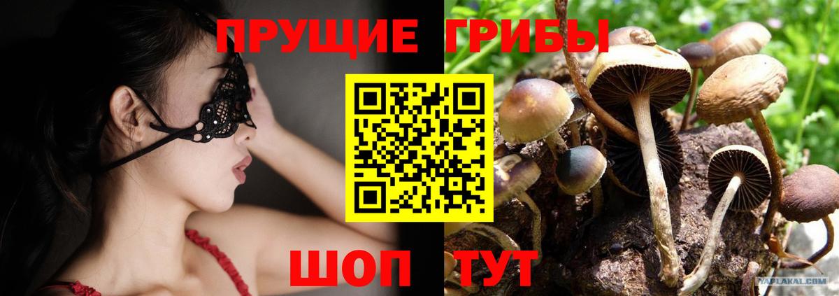 ГАШ Каменка